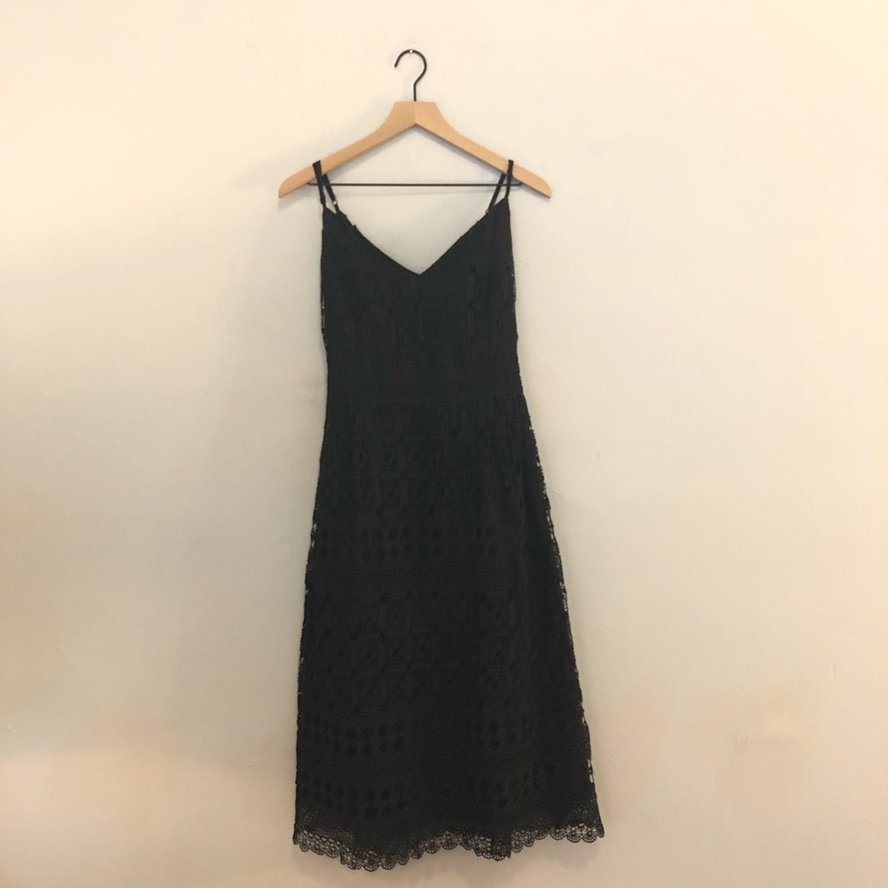 City Chic Sublime Lace Fit And Flare Dress